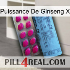 Ginseng Power X 35